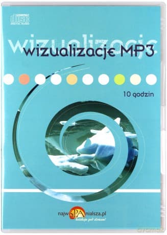 Wizualizacje