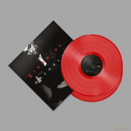 Ginuwine: Ginuwine... The Bachelor