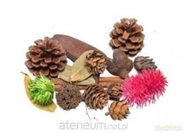 Susz dekoracyjny 30g