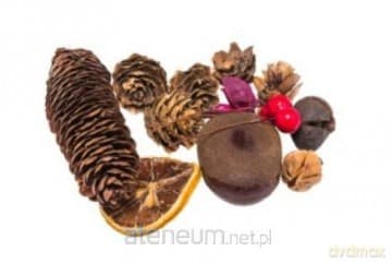 Susz dekoracyjny 30g