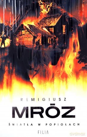 Światła w popiołach - Remigiusz Mróz