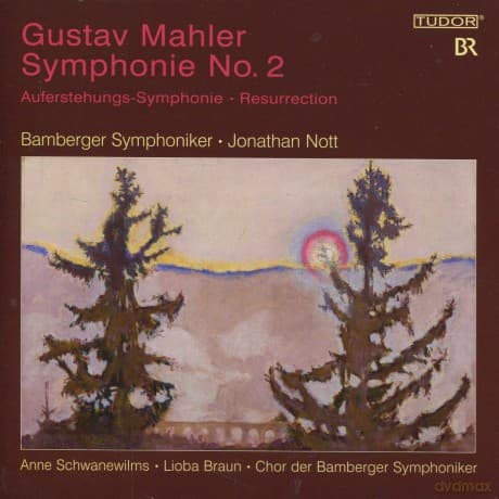Mahler, Gustav: Symphonie No. 2: Bamberger Symphoniker, J. Nott