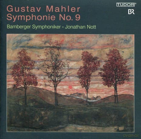 Mahler, Gustav: Symphonie No. 9: Bamberger Symphoniker, J. Nott
