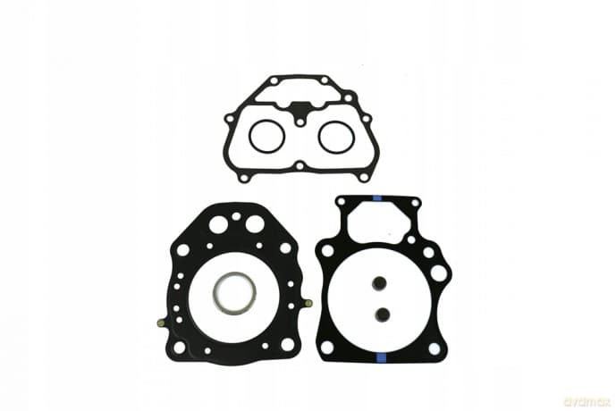 Zestaw uszczelek silnika P400210600246