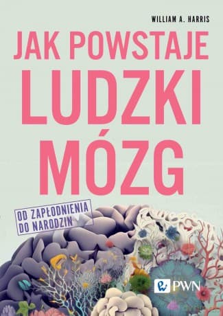 Jak powstaje ludzki mózg. Od zapłodnienia do narodzin - William A. Harris