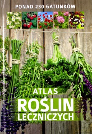 Atlas roślin leczniczych - Mederska Małgorzata