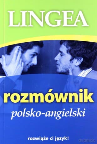 Rozmównik polsko-angielski