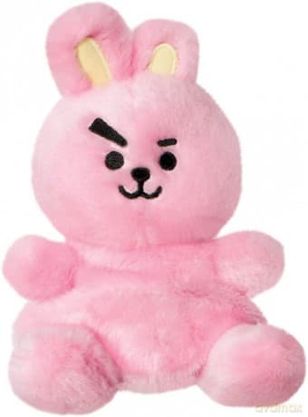 Bt21: Bt21 Cooky Palm Pal 5In