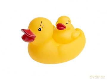 Kaczka mydelniczka z kaczuszką bez dziurki