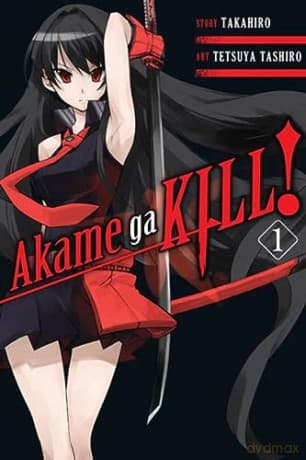 Akame Ga Kill Vol 1 - Takahiro