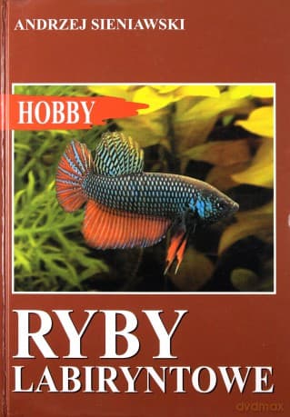 Ryby labiryntowe - Sieniawski Andrzej