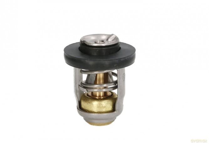 Termostat quicksilver / mercury