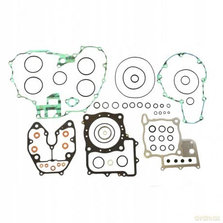 Zestaw uszczelek silnika P400210850199