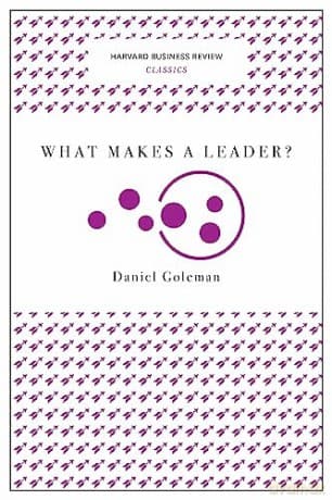 What Makes A Leader - Daniel Goleman