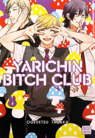 Yarichin Bitch Club Vol 4 - Ogeretsu Tanaka