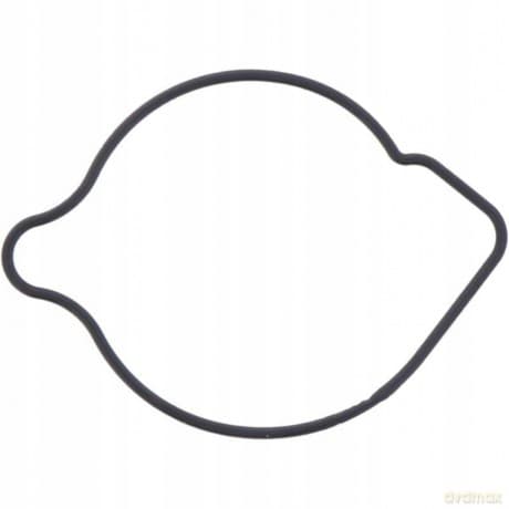 Uszczelka Pokrywy Pompy Wody Honda Trx 500af 01-09