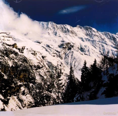 Moloko: I Am Not A Doctor