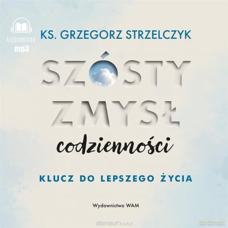 Szósty zmysł codzienności. Klucz do lepszego życia - Autor: Grzegorz Strzelczyk, Tomasz Wysocki