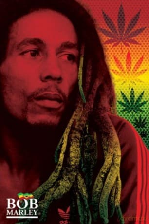 Bob Marley (Dreads)