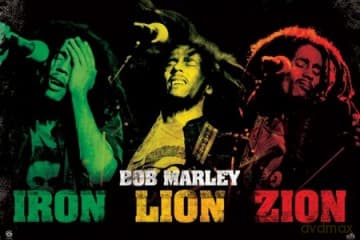 Bob Marley (Iron Lion Zion)
