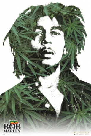Bob Marley (Leaves)