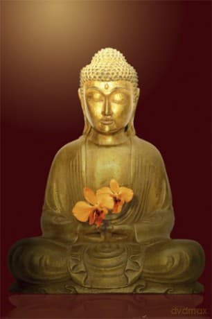 Budda Kwiat - Budda