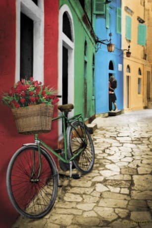 Bukiet Kwiatów Na Rowerze