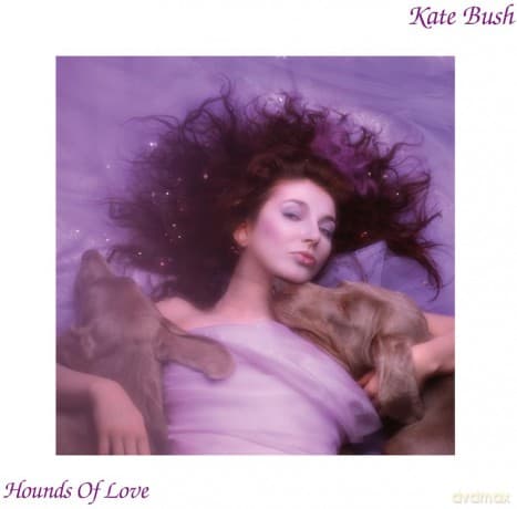 Kate Bush: Hounds of Love (2018 Remaster)