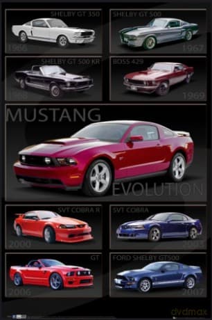 Ford Shelby Mustang Evolution