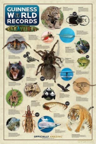 Guinness World Records (Creatures)