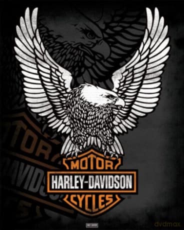 Harley Davidson (Eagle)