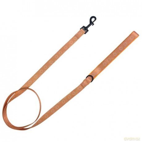 Confetti Dogs - Dog Lead Hey Sunshine