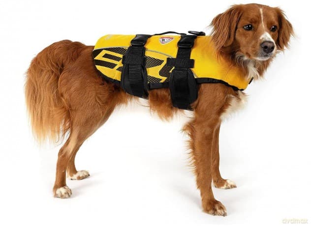 Ezydog - Life jacket yellow xs 7 - 11 kg