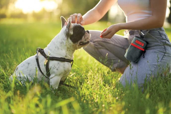 Kong - Treat Bag 13,5 x12,5cm