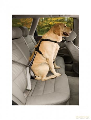 KURGO - Safety strap for the car seat belt