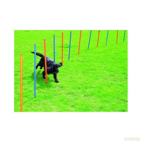 Pawise - Agility 12pcs Poles