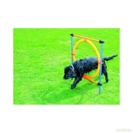 Pawise - Agility Ring Ă55Cm