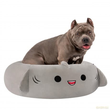 Squishmallows - Pet Bed - Shark 76 cm (JPT0097-L)