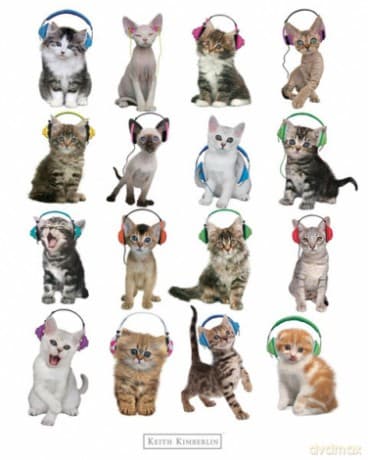 Keith Kimberlin Kitten Headphones