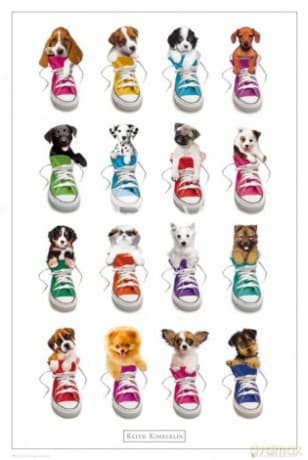 Keith Kimberlin Sneakers