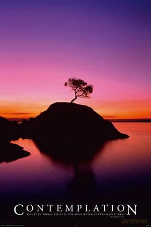 Kontemplacja (Drzewo)