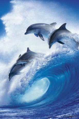 Lassen - Into The Blue