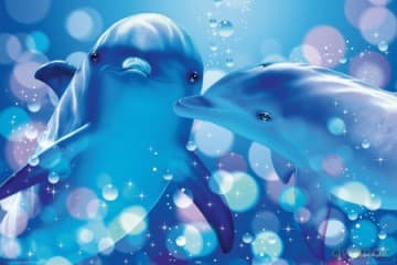 Lassen (Pocałunek Delfinów)