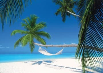 Malediwy - Palma i Hamak