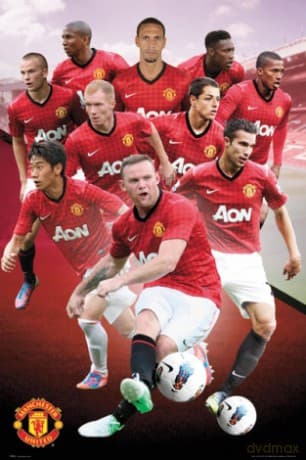 Manchester United Players 12/13