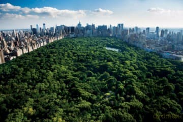 Nowy Jork - Central Park