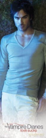 Pamiętniki Vampirów (Damon)