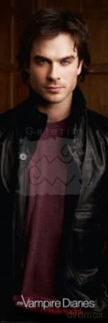 Pamiętniki Wampirów - Damon Salvatore