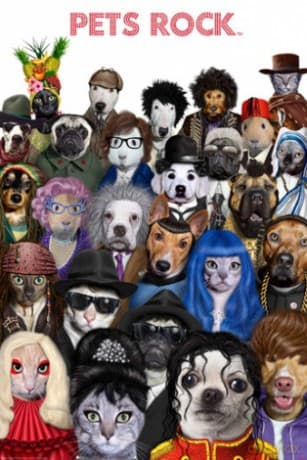 Pets Rock