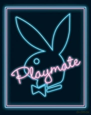 Playmate (Neon)